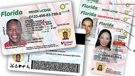 Florida immigration law driver license. Things To Know About Florida immigration law driver license. 